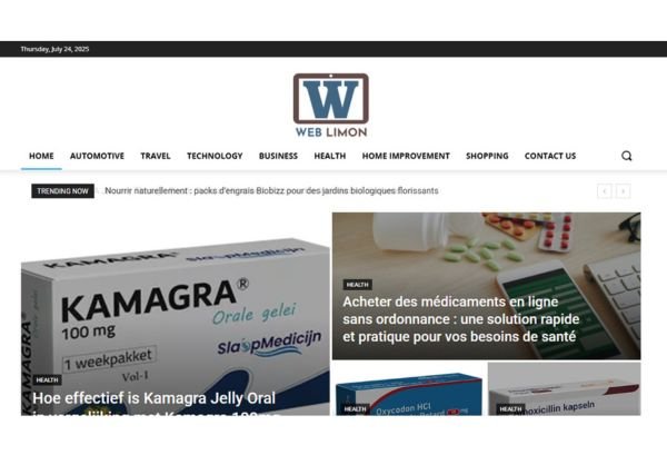 Publish Guest Post on weblimon.com