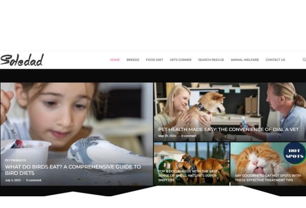 Publish Guest Post on tilepalu.com
