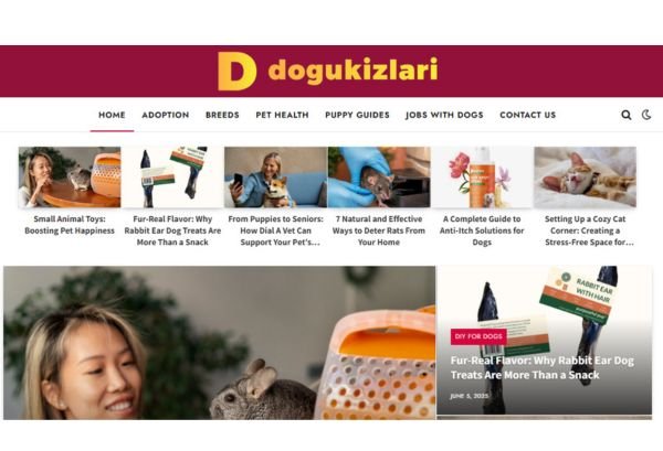 Publish Guest Post on dogukizlari.com