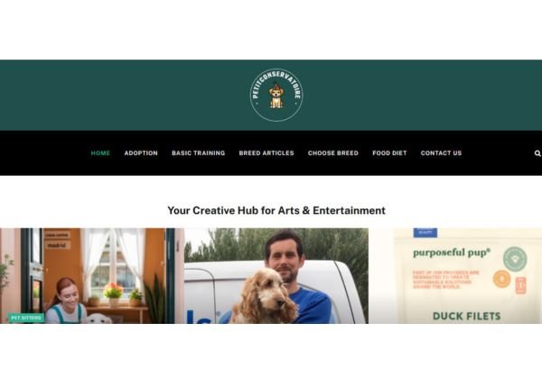 Publish Guest Post on petitconservatoire.org