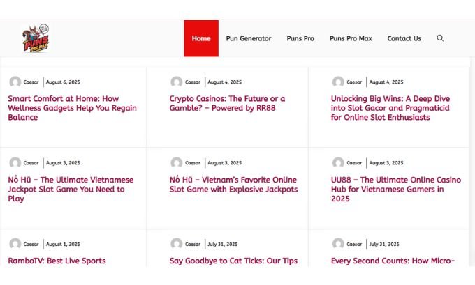 Publish Guest Post on punspromax.com