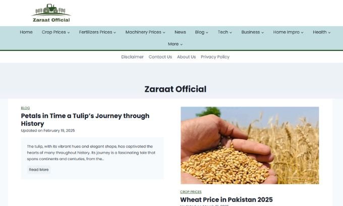 Publish Guest Post on zaraatofficial.com